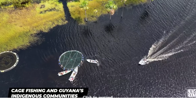 The pristine lakes of Guyana, a new method of fishing